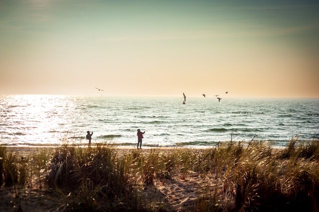 Sunlit dunes and a wide Baltic beach at Hel, with small figures and distant activity over the water.