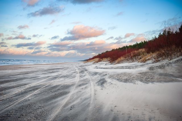 Loose snow streaming across the winter beach toward dunes and dark forest at Jantar.