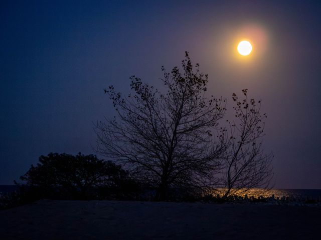 Full moon glowing behind the fine branches of a silhouetted tree at blue hour in Górki.