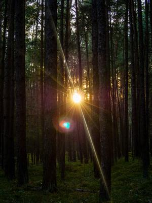 03-Swibno-Las.jpg
