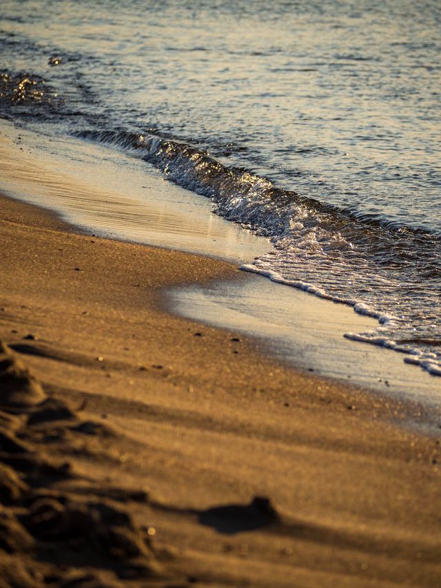 A thin Baltic wave washing over smooth golden sand on the beach at Świbno.
