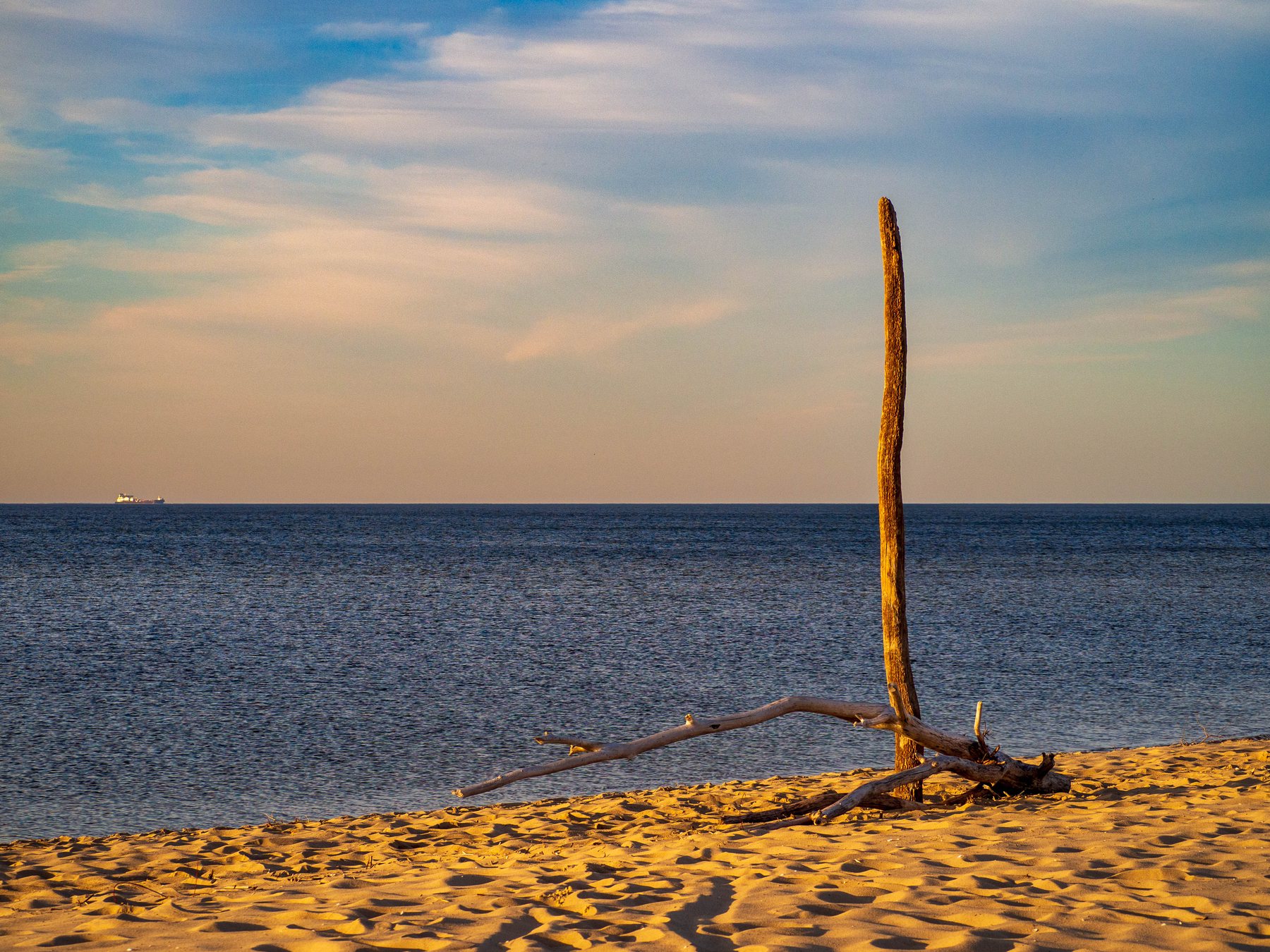 A weathered branch standing upright on an empty beach below a pale Baltic horizon.