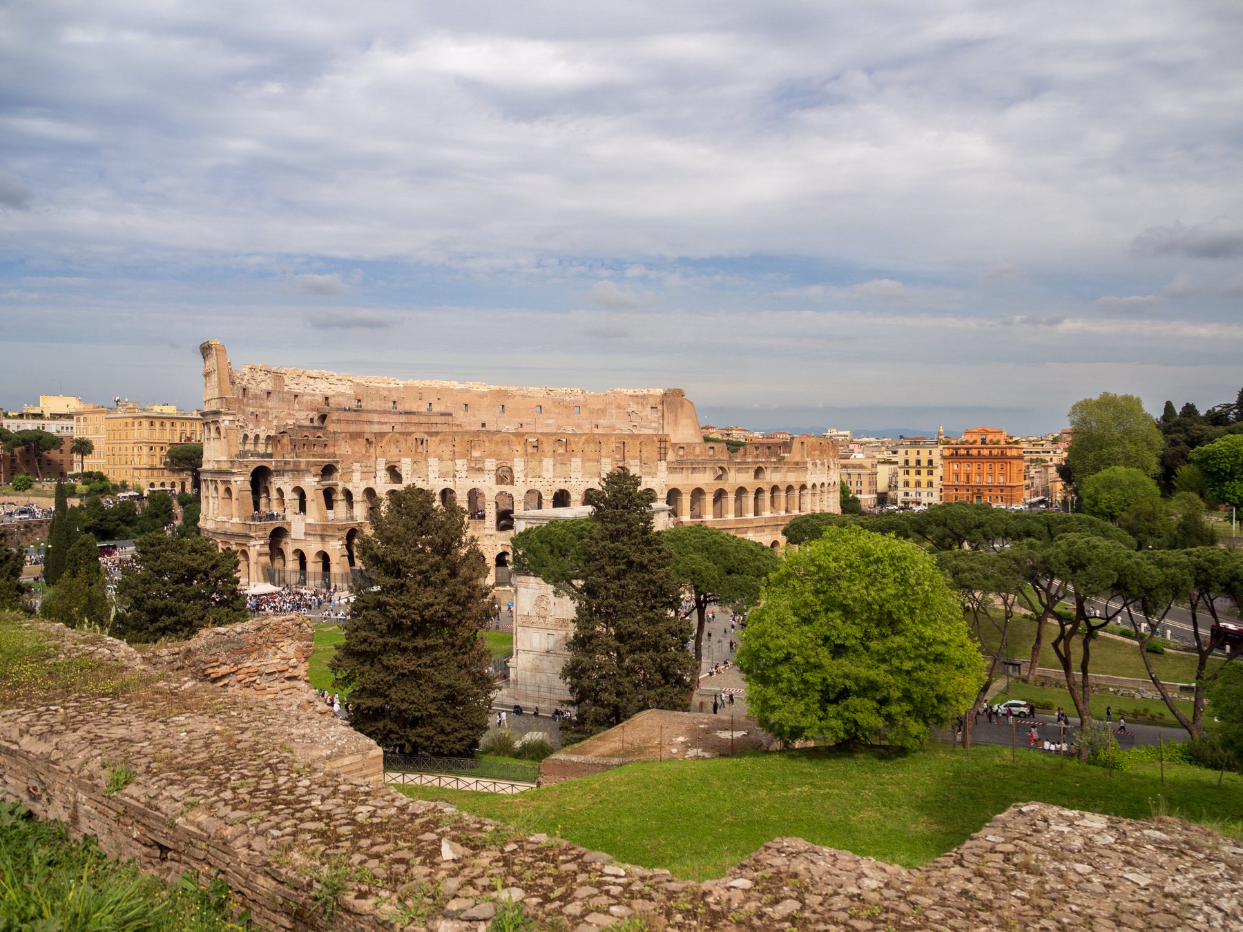 The Colosseum across layered archaeological ruins and umbrella pines in warm afternoon light.