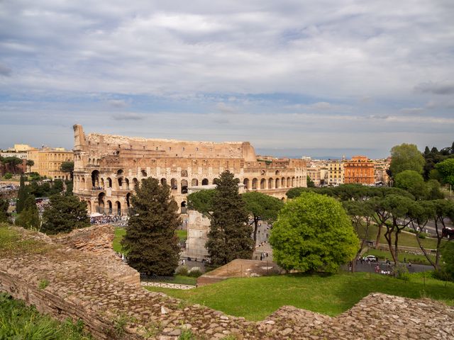 The Colosseum across layered archaeological ruins and umbrella pines in warm afternoon light.