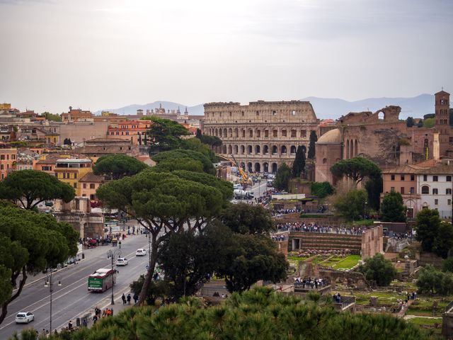 Elevated view toward the Colosseum through umbrella pines, roads, and excavated ruins.