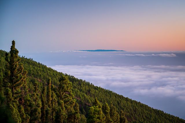A forested La Palma slope descending toward a sea of cloud and a distant island at pastel sunset.