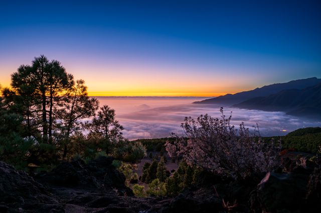 Pines and volcanic slopes silhouetted above clouds against a narrow orange and violet sunset.