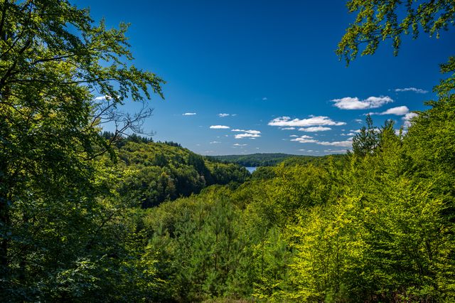 Layered green hills and forest stretching toward the horizon from Lubogoszcz.