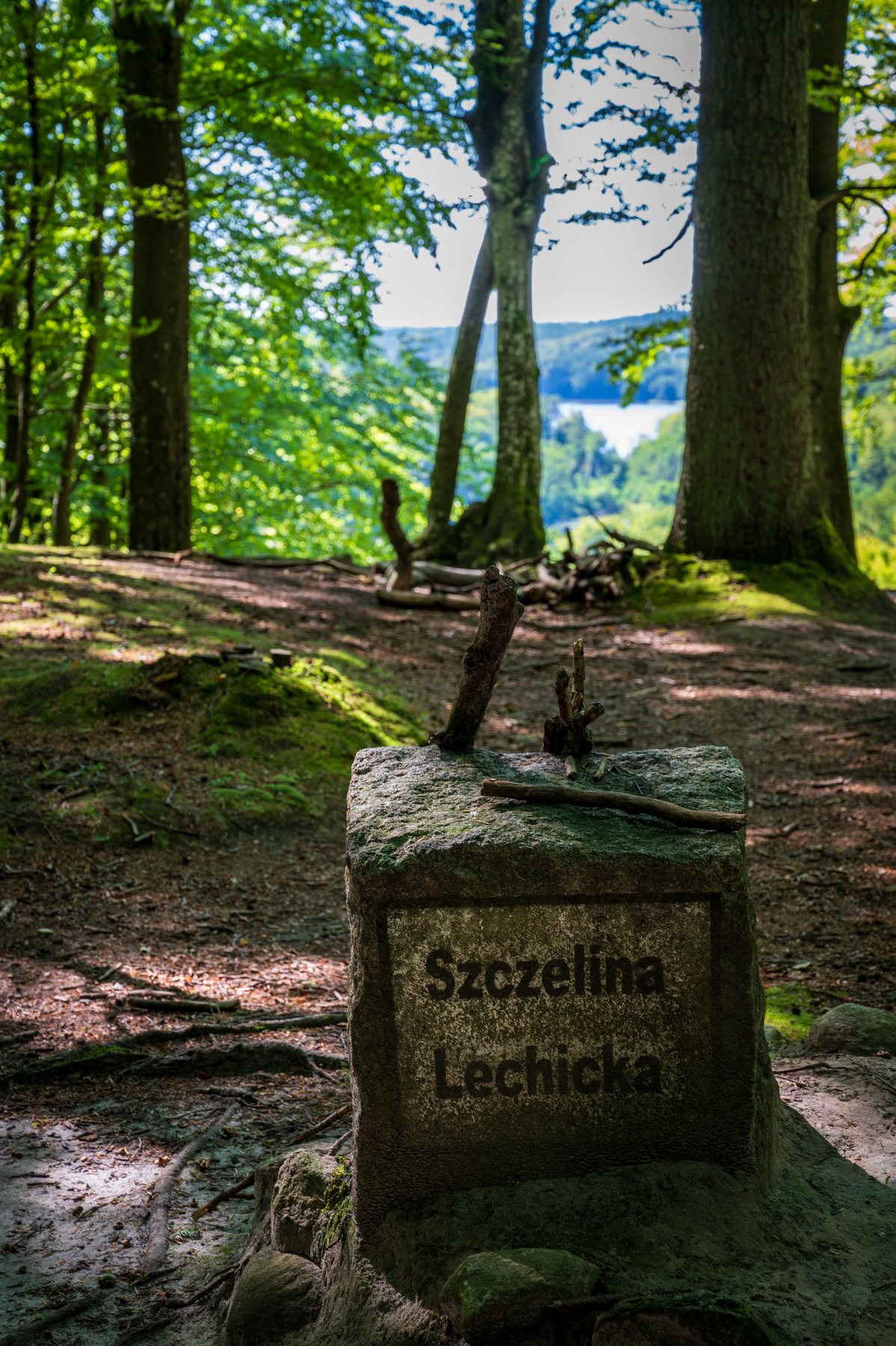 A trail marker for Szczelina Lechicka standing among mature trees on the Lubogoszcz ridge.