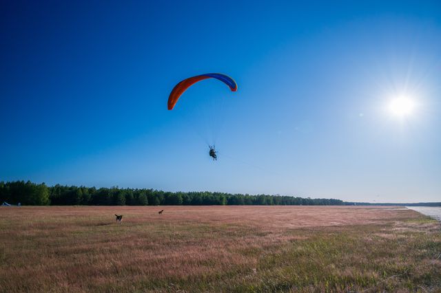 A red paraglider and pilot suspended above the wide dry field beneath bright sun.