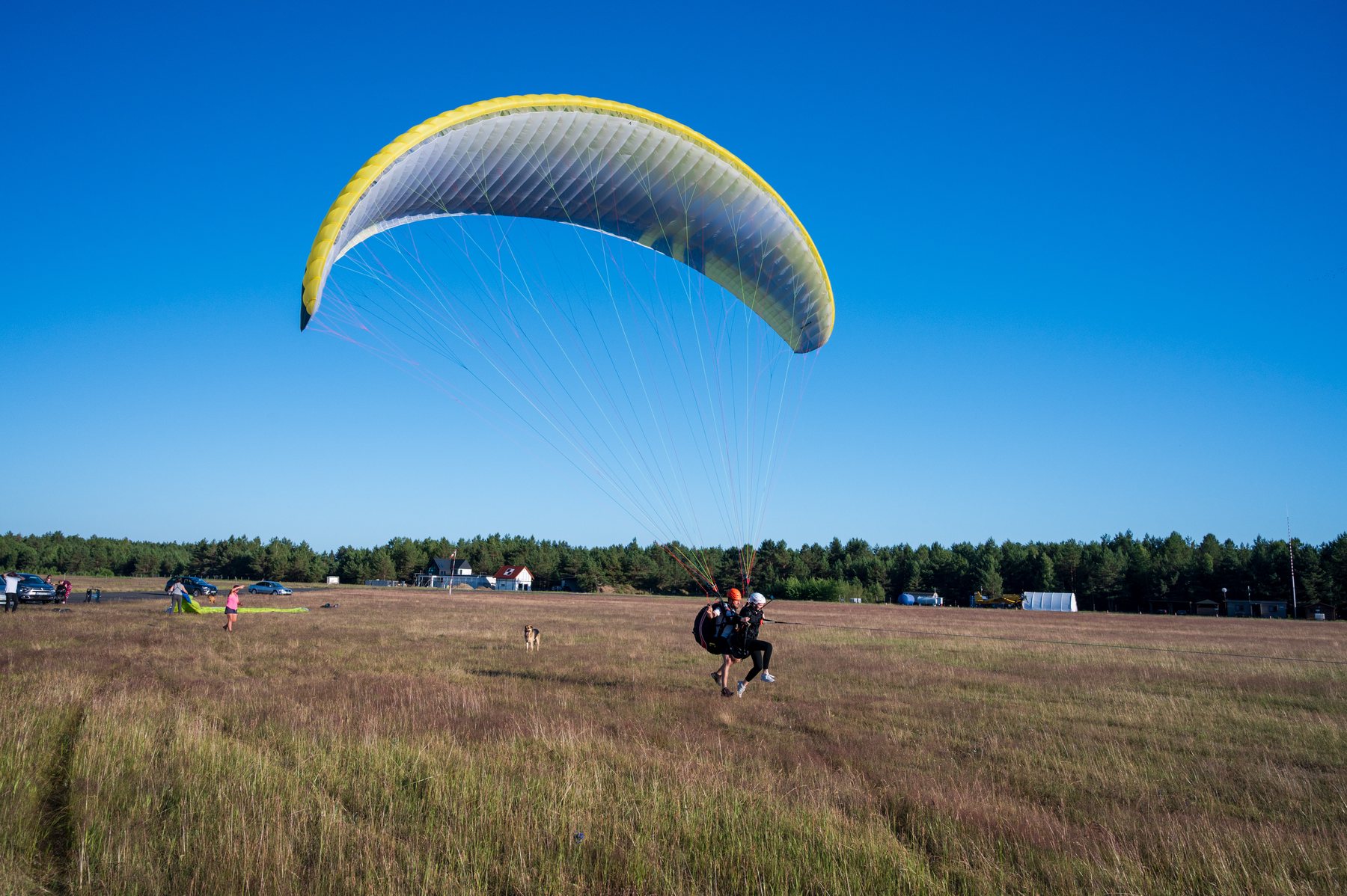 A yellow and blue canopy lifting as a pilot runs forward across Borsk airfield.