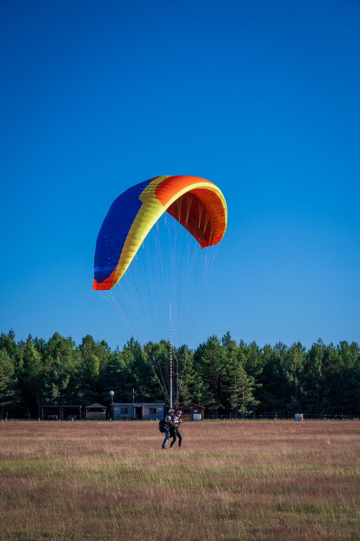 An orange and yellow paraglider descending toward the grass with the pilot's legs extended.