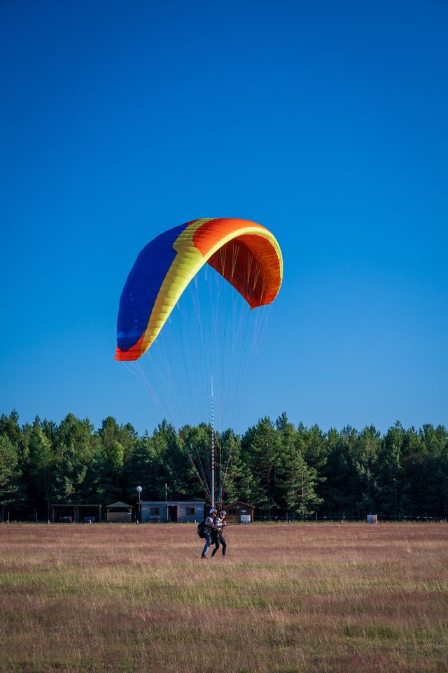 An orange and yellow paraglider descending toward the grass with the pilot's legs extended.