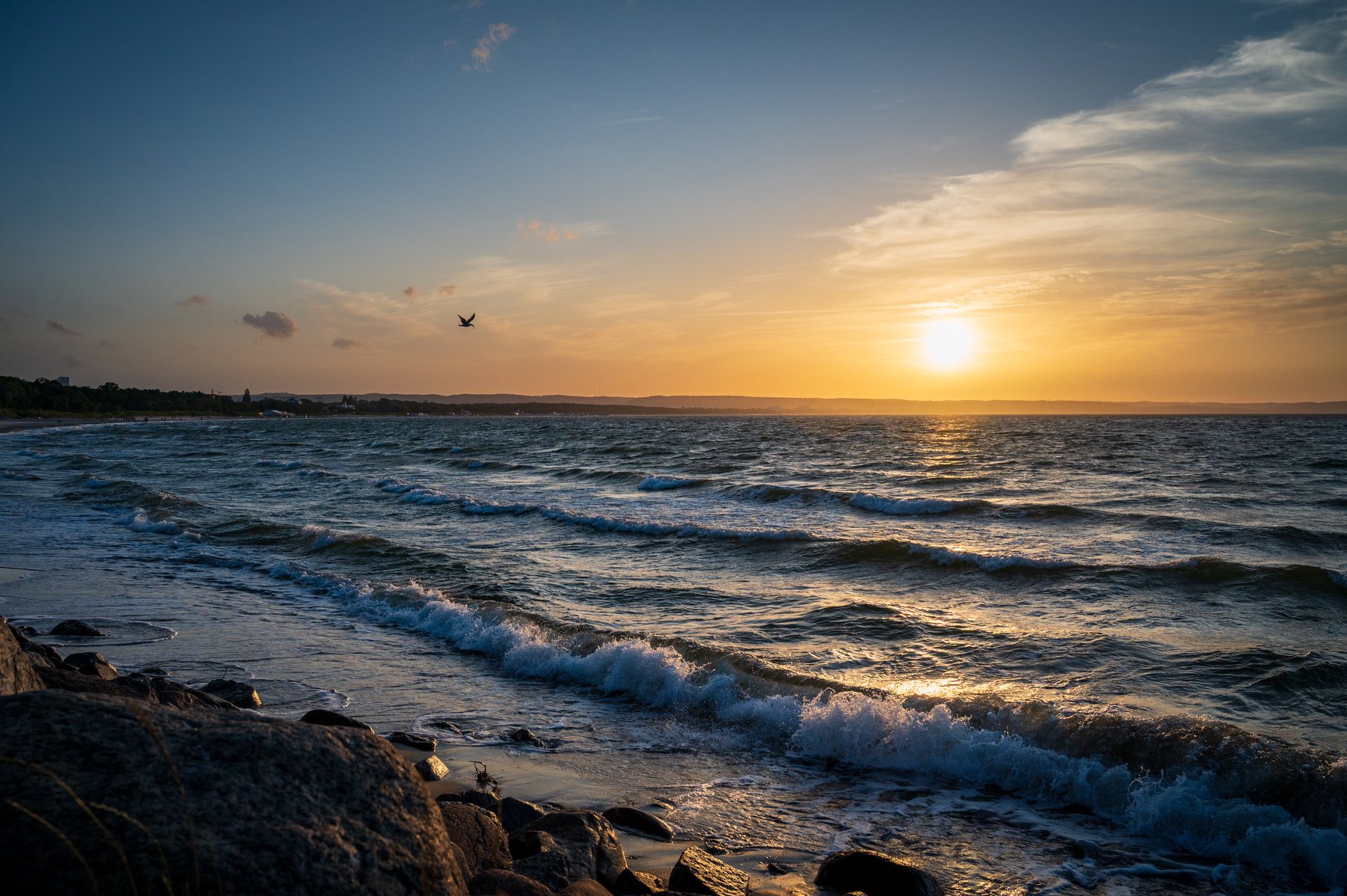 Low sun above wind-ruffled waves as birds cross the sky near the harbour entrance.
