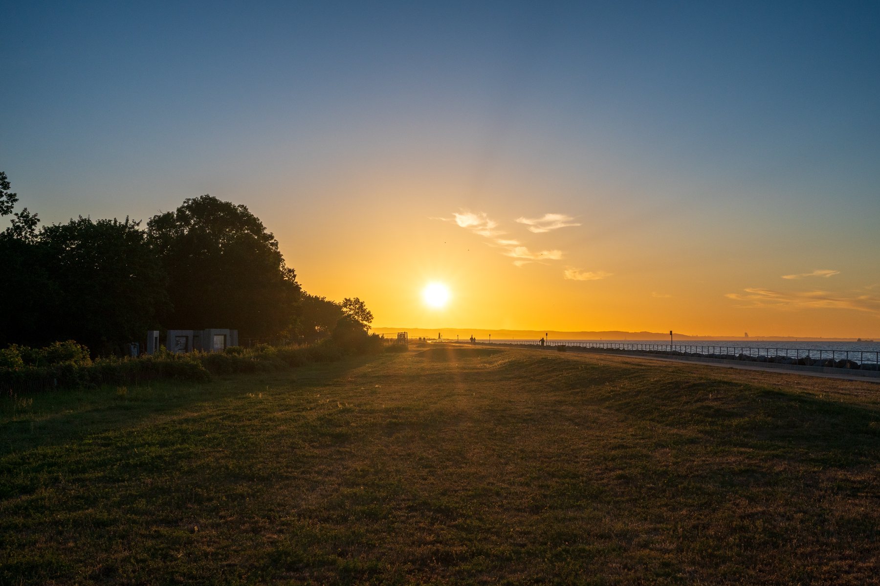 The sun dropping beside a dark tree line and open coastal grass at Westerplatte.
