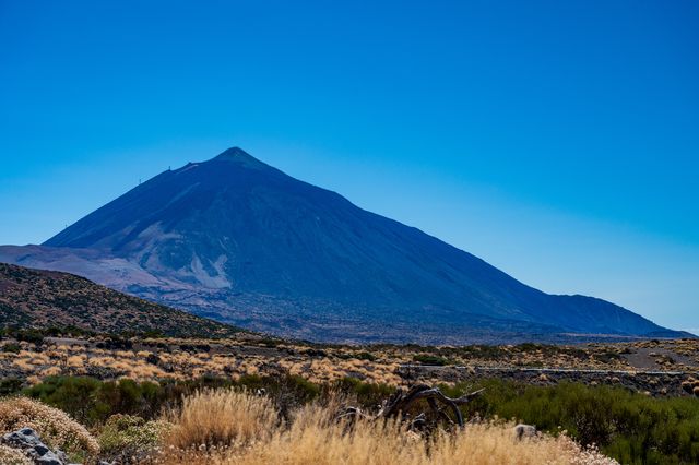 The dark triangular mass of Teide rising from golden grasses and black volcanic rock.