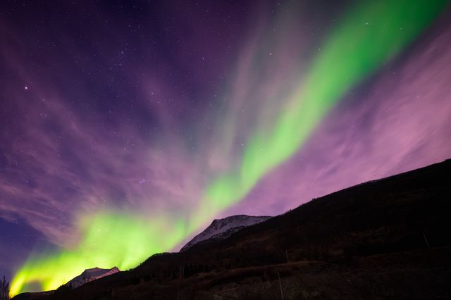 Green and violet aurora curtains streaming above the black edge of a mountain.
