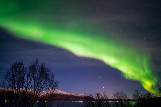 Intense green aurora stretching over bare tree silhouettes and a calm fjord.