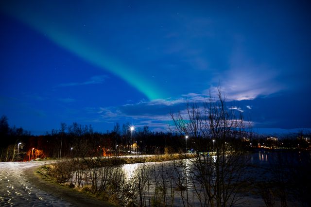 Moonlit blue cloud and faint aurora above a snowy road, bare trees, and distant Tromsø lights.