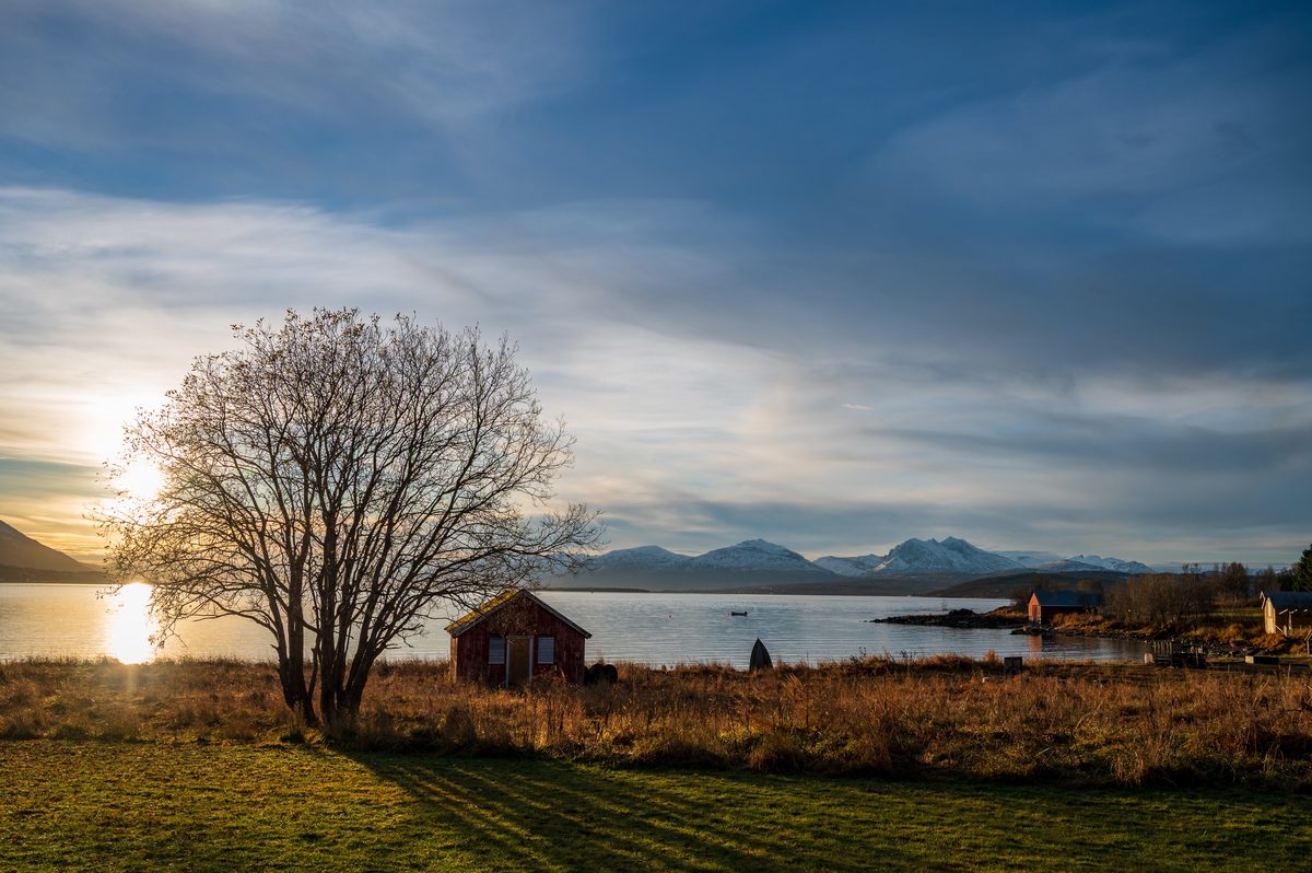 A solitary tree and traditional red boathouse overlook a peaceful fjord surrounded by snow-capped mountains. Long shadows and soft evening sunlight capture the quiet atmosphere of an autumn day in Northern Norway.