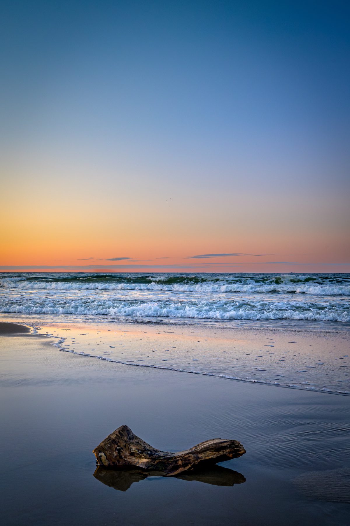 A weathered piece of driftwood rests on reflective wet sand as waves break beneath a pastel evening sky. The simple foreground and open horizon create a peaceful, minimalist view of the Baltic coast.