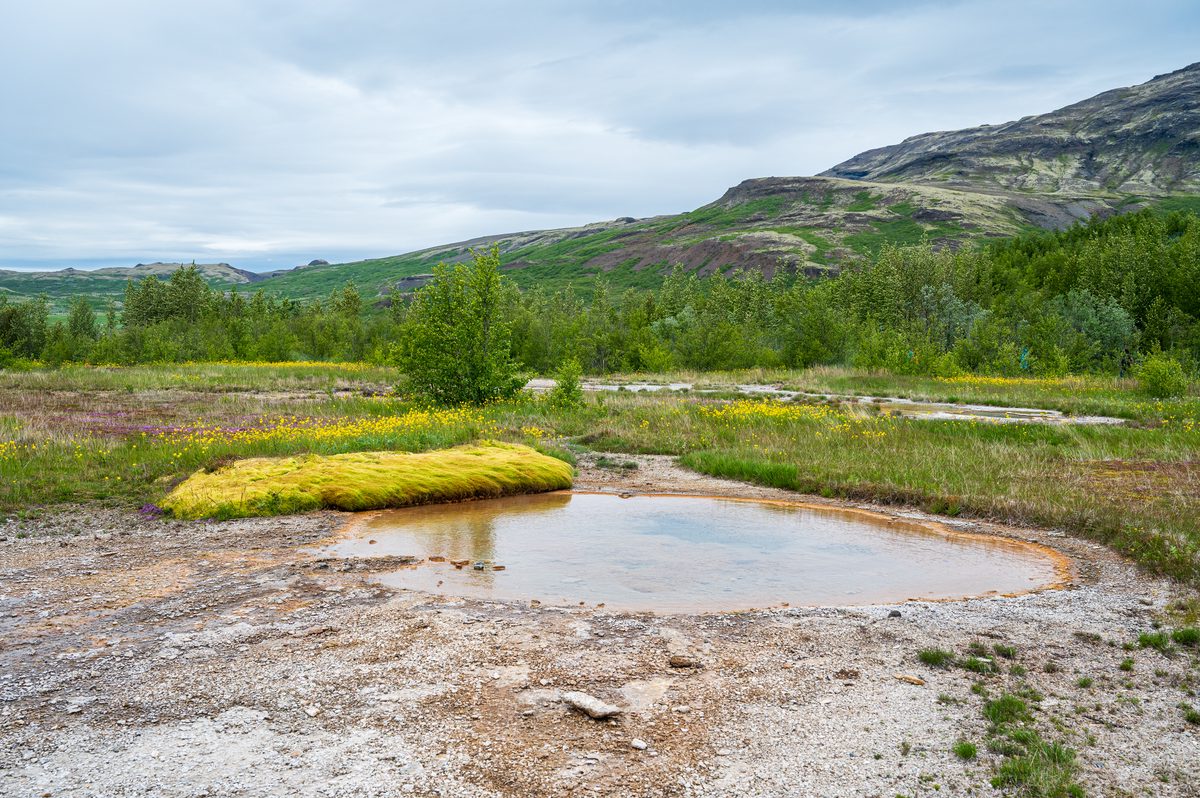 A still, clear geothermal pool reflects the sky, bordered by mineral-rich orange soil, a mound of vibrant green moss, and bright wildflowers in a serene valley setting.