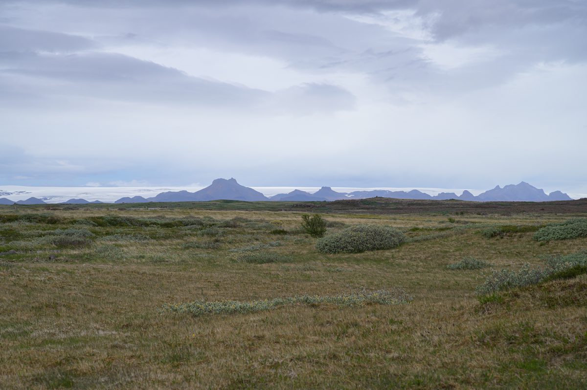 A vast, windswept plain of low brush stretches toward a jagged mountain range, behind which the blinding white expanse of a massive distant glacier dominates the horizon.