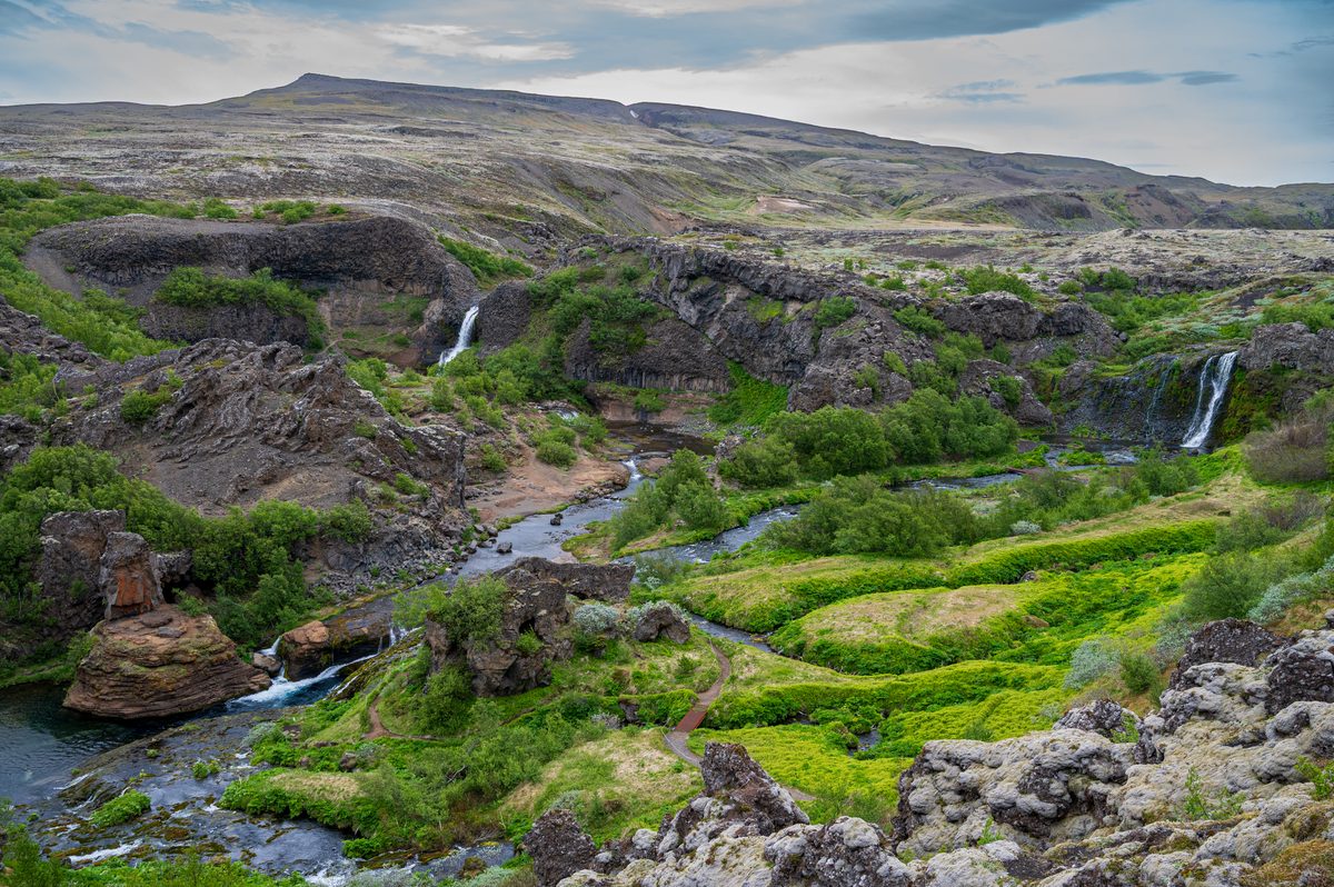 A breathtaking, verdant canyon tucked away in the rugged landscape, where multiple delicate waterfalls cascade from dark basalt cliffs into a meandering stream surrounded by vibrant, untamed greenery.