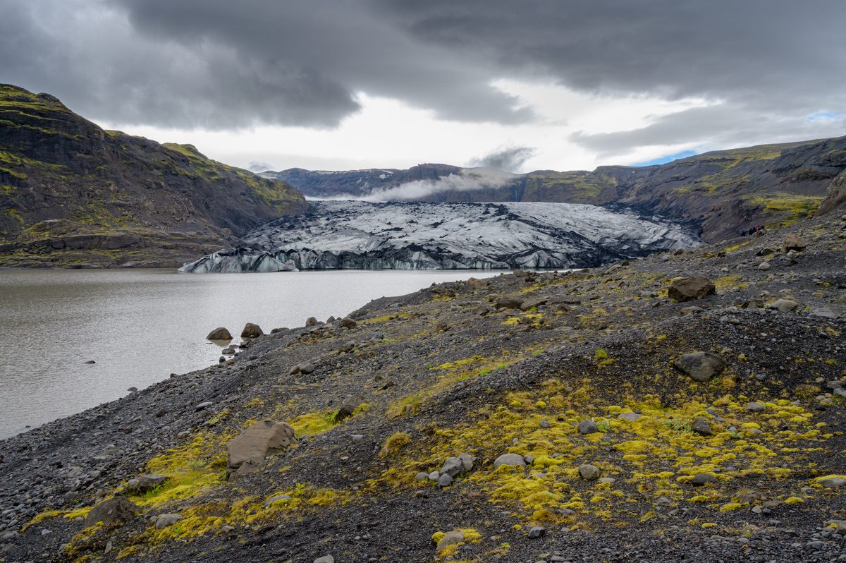 The ash-striped tongue of Sólheimajökull meets a quiet lagoon bordered by black gravel and bright patches of moss.