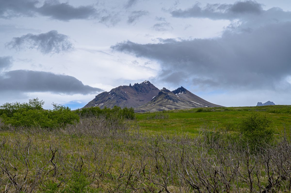 Low vegetation spreads across the open foreground while a glacier descends from snow-streaked mountains beneath dramatic clouds.