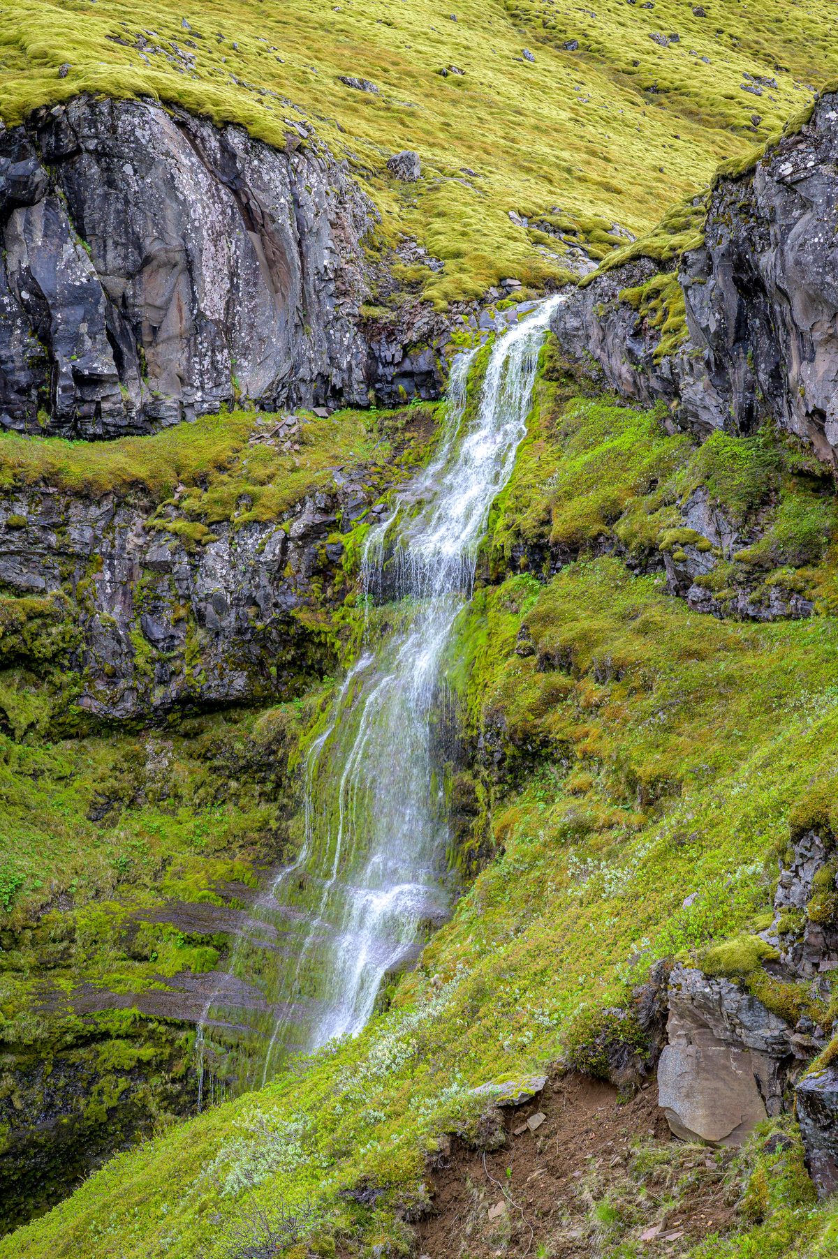 A delicate cascade tumbles over dark rock and bright moss on the wall of Múlagljúfur.