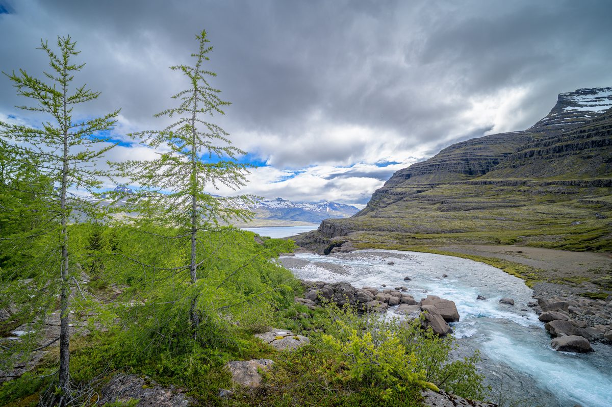 Young trees frame the Fossá as it runs between dark mountains toward the distant water.