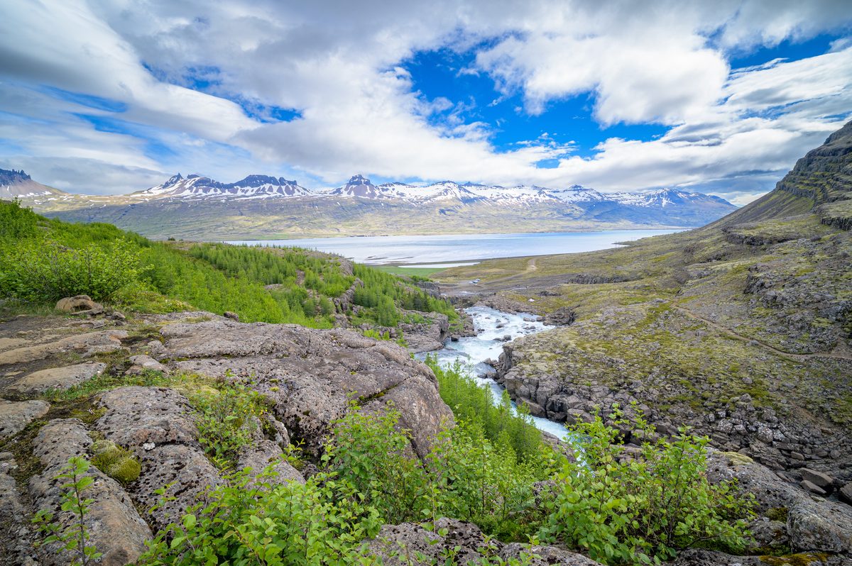 From high above the river, the valley falls away toward broad tidal flats and a wall of snow-streaked mountains.