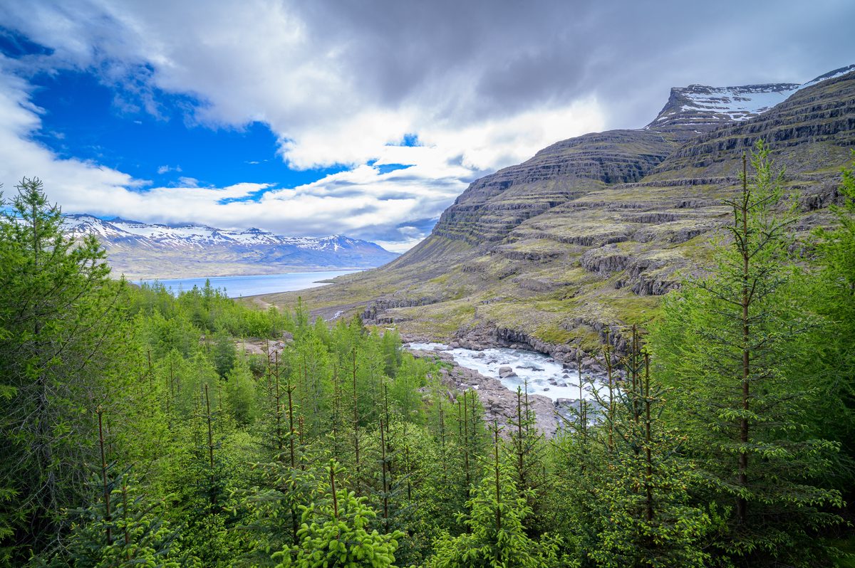 Young conifers rise above the river below a massive stepped mountainside and a luminous blue opening in the clouds.
