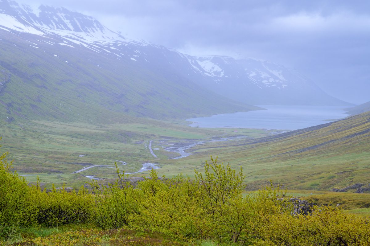 The road and braided stream lead into the fjord as rain softens the distant mountains and water.
