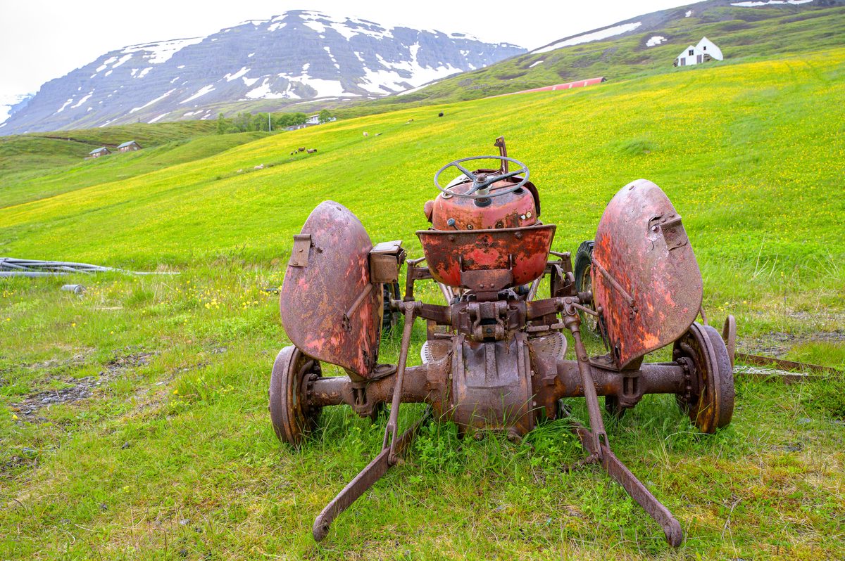 A rusted farm machine rests in a brilliant green field scattered with yellow flowers.