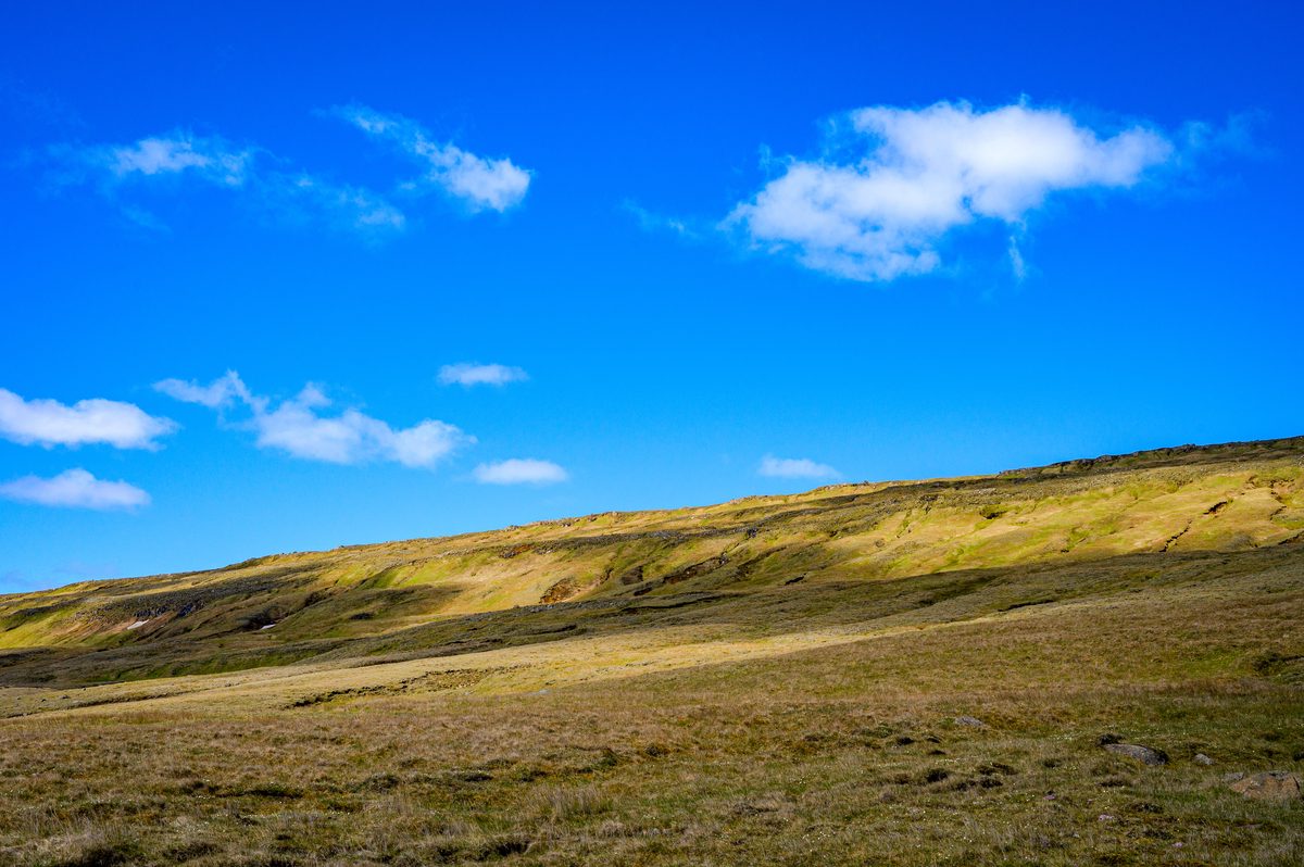Bare ochre and green slopes stretch beneath a saturated blue sky as the road climbs away from the fjord.