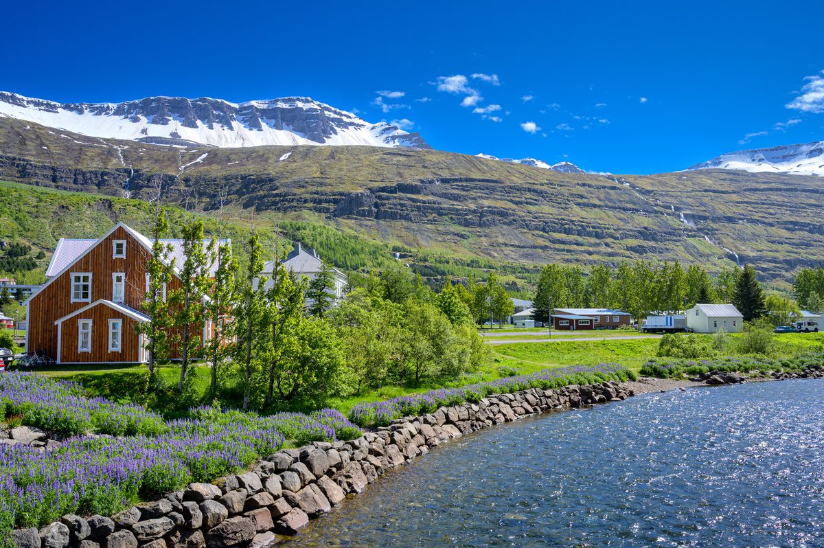 A red timber house, lupines, and leafy trees stand beside the calm lagoon beneath Seyðisfjörður's terraced mountains.