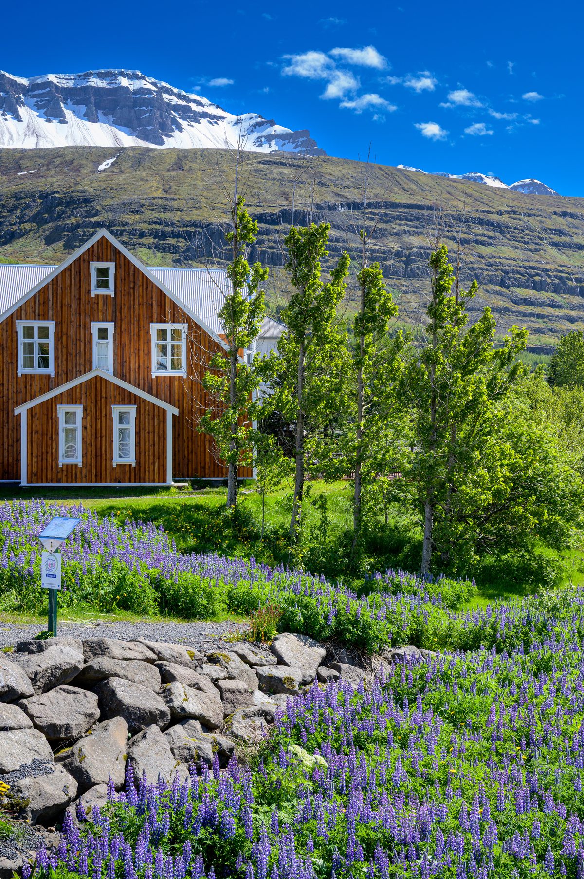 Purple lupines and a low stone wall frame a red wooden house beneath a steep green mountain in Seyðisfjörður.