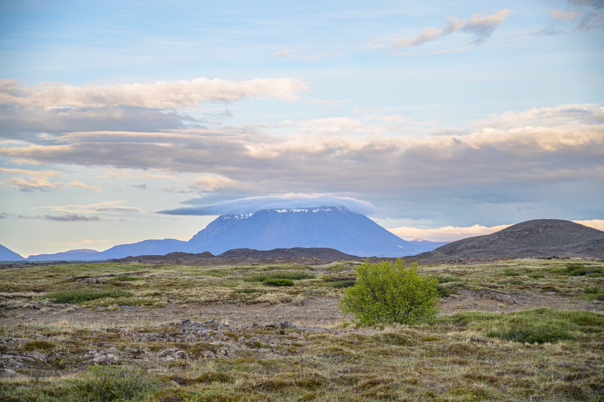 Low birch and moss-covered lava fill the foreground beneath a flat-topped mountain and softly lit evening clouds.