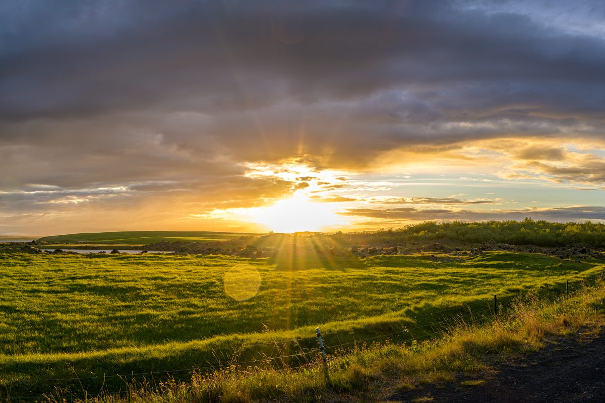 A broad green pasture glows beneath a low golden sun and layered evening clouds in the Mývatn countryside.
