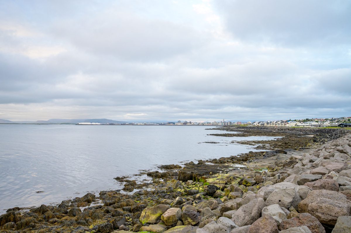 A rocky shoreline fringed with seaweed curves past waterfront houses toward Reykjavík’s distant skyline, with calm gray water beneath a broad overcast sky.