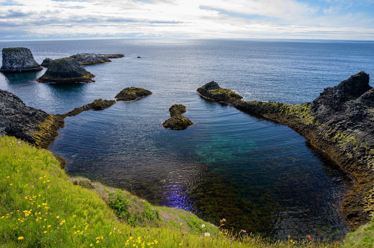 A high view looks into a sheltered blue inlet at Arnarstapi, where narrow rock ridges and sea stacks emerge below grassy cliffs dotted with yellow flowers.