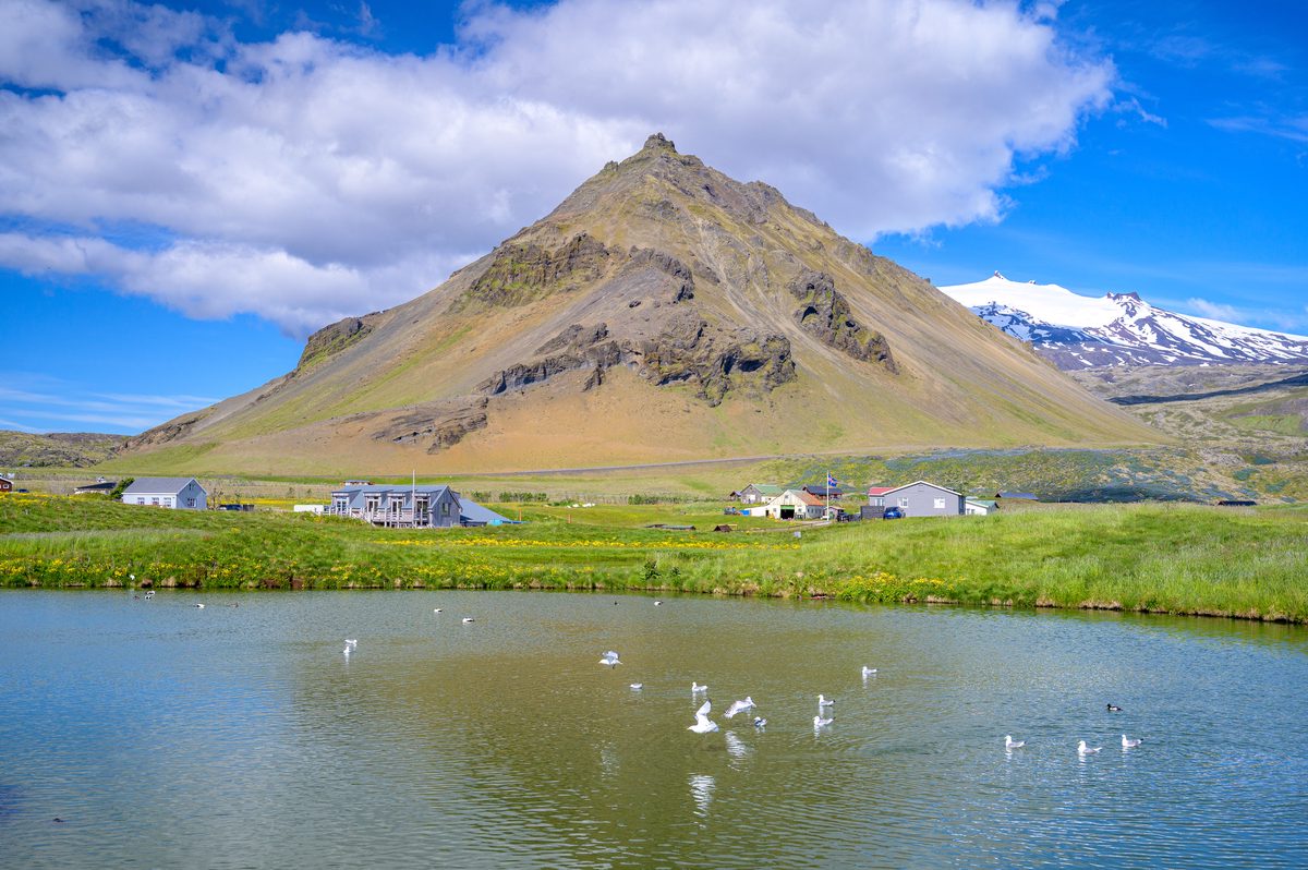 White birds float on a small pond below Stapafell, whose ochre and gray slopes rise behind low buildings and bright green fields.